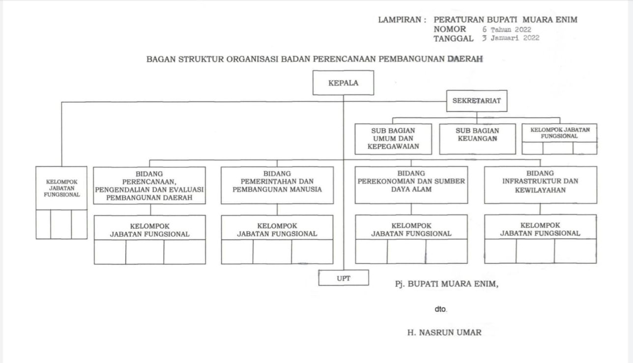 Struktur Organisasi BAPPERIDA